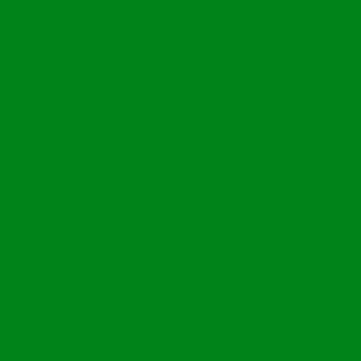3M Película de color translúcida Envision 3730-156L Verde vivo 1,22 m x 45,7 m