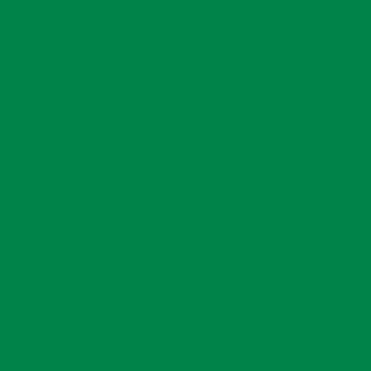 3M Lámina de color Scotchcal 100-027 verde claro 1,22m x 25m