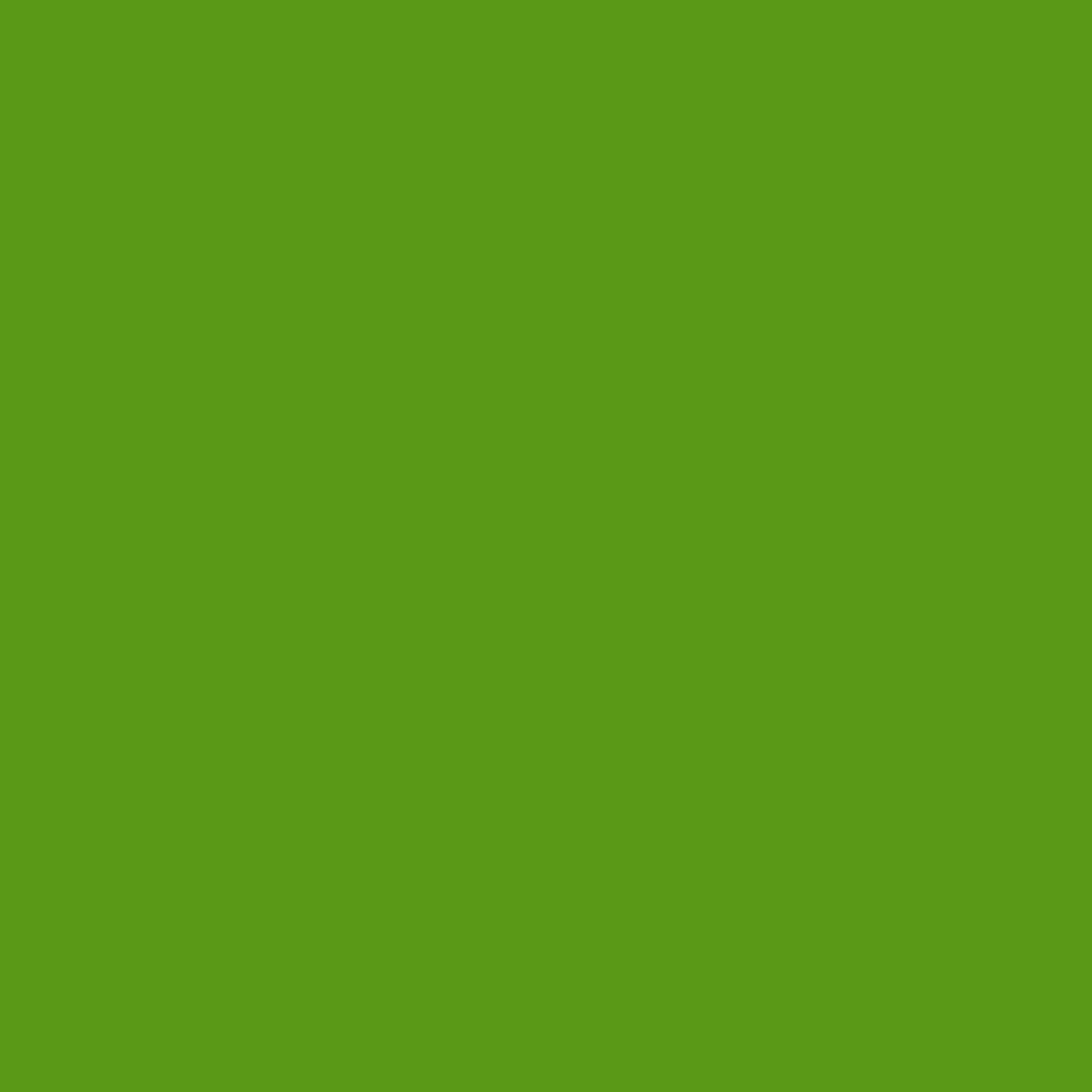 3M Película de color translúcida Scotchcal 3630-136 amarillo-verde 1,22 m x 45,7 m
